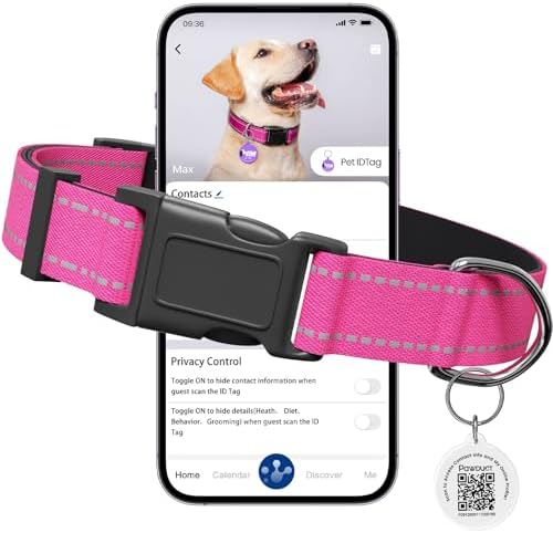 Reflective Dog Collar for Medium Dogs with Dog Tags Personalized & Quick Release Buckle, Adjustable and Comfortable Nylon Pet Collar, Hot Pink | Reflective Dog Collar with Smart QR ID Tag for Girl Dogs, Quick Release Buckle, Adjustable and Comfortable ...
