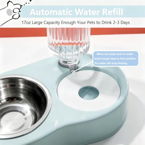 Cat Bowls Food and Water Bowl Set with Automatic Water Dispenser
