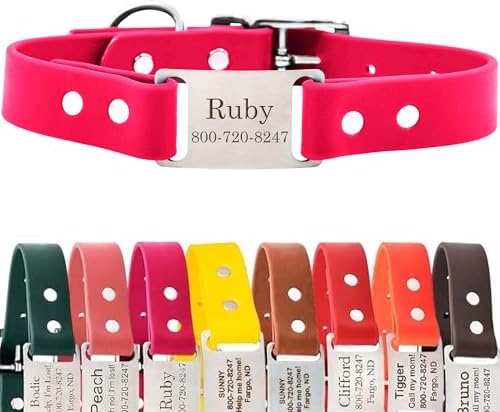 dogIDs Personalized Dog Collar – ScruffTag Custom Waterproof Biothane Dog Collar with Laser-Engraved Name, Durable & Odor-Resistant – USA Made | Magenta, 1 in x 18 in (Fits Neck Sizes 16-20 in)