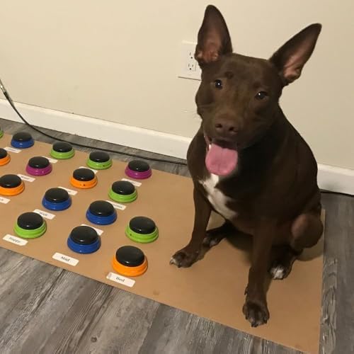Hunger for Words Talking Pet Starter Set - Dog Buttons for Communication, Dog Training Tools, Recordable Button with Sound, Puppy Training Tools, Talking Toys for Dogs, Cat Button Clicker Set