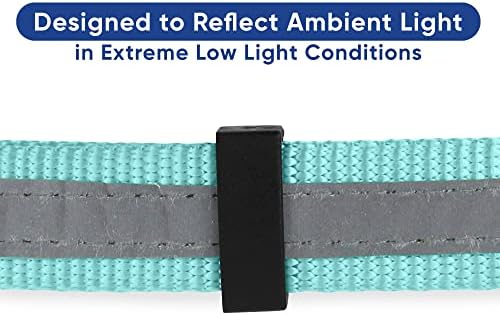 Pawtitas Martingale Dog Collar with Chain - Reflective Nylon No Pull Collar for Large Dogs - Teal