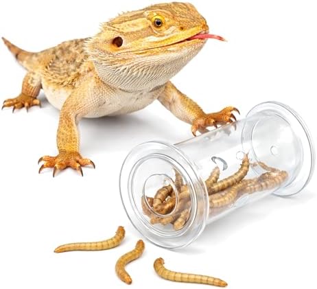 Bearded Dragon Toy - Reptile Enrichment Interactive Feeder Toy