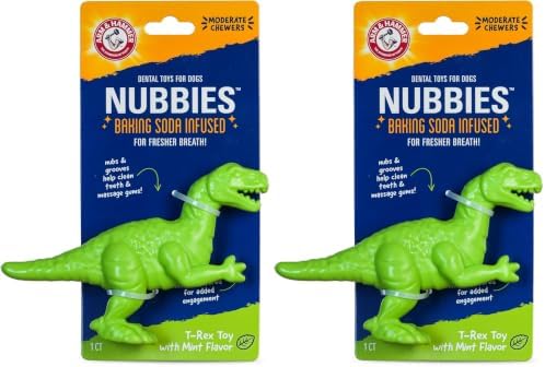 Arm & Hammer for Pets Nubbies Dental Toys T-Rex Dental Chew Toy for Dogs Best Dog Chew Toy for Moderate Chewers Reduces Plaque & Tartar Buildup Without Brushing, Mint Flavor (Pack of 2)