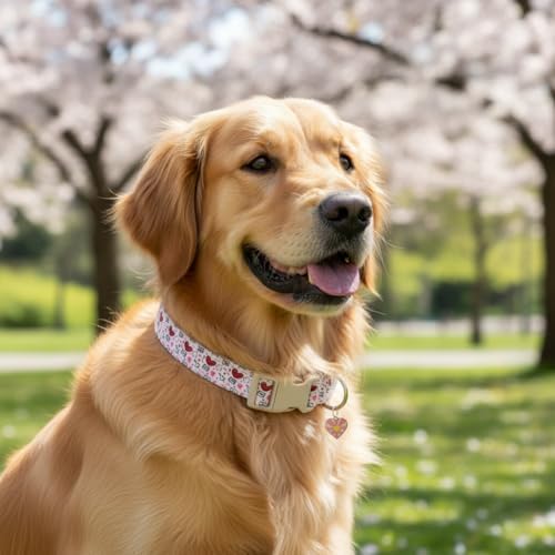 Dog Collar for Small Female Dogs - Soft Adjustable Puppy Collar with Cute Pink Red Heart Pattern, Stylish Girl Dog Collar for Daily Walking & Photo Shoots, Fits Puppies and Small Breeds