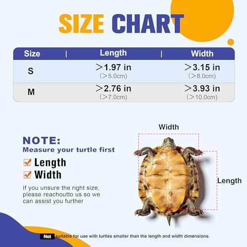 Turtle Skateboard Small Reptile Exercise Toy S