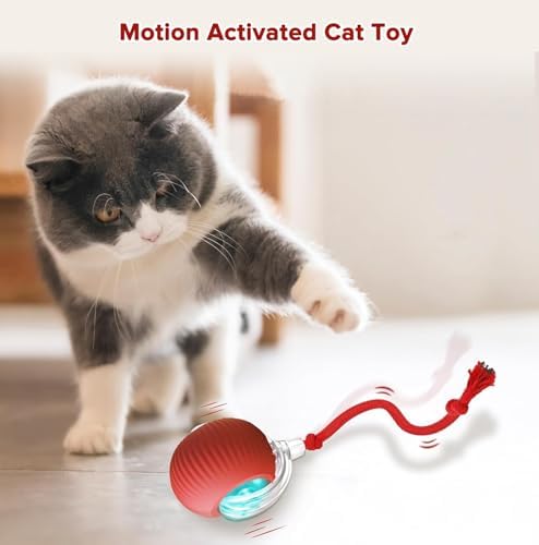 Interactive Cat Toy Ball for Indoor Cats, Motion Activated Cat Ball with 3 Speeds, 2 Replaceable Tails, Safe Material Kitten Toys, USB Charging, 360° Smart Rolling Ball for Bored Adult Cats and Dogs