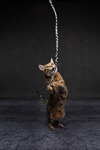 CAT DANCER Jungle Cat Wand (Pack of 2), Charmer Interactive Cat Toy, Safe Teaser Wand for Indoor Cats & Kittens, Flexible Exercise Toy Made of Multicolor Fabric Ribbon, For Medium Breeds