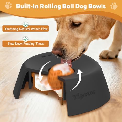 Yipetor Dog Lick Bowl, Rolled Ball-in Slow Feeder Enrichment Puzzle Toys