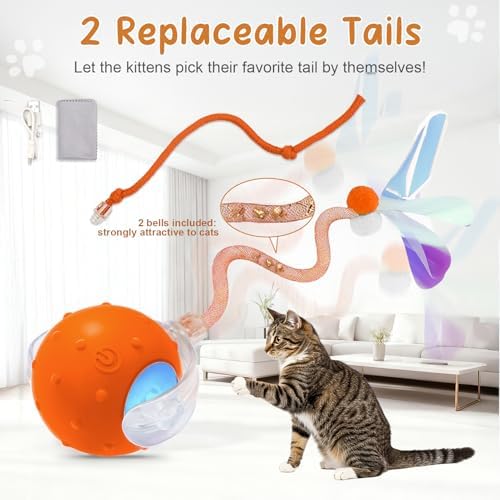 Interactive Cat Ball Toy, Motion Activated Electric Rechargeable Cat Toy