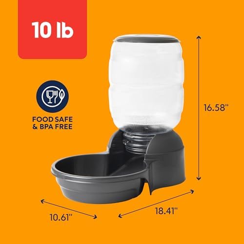 Petmate Replendish Automatic Dog Feeder, Microban Protection, 10lbs