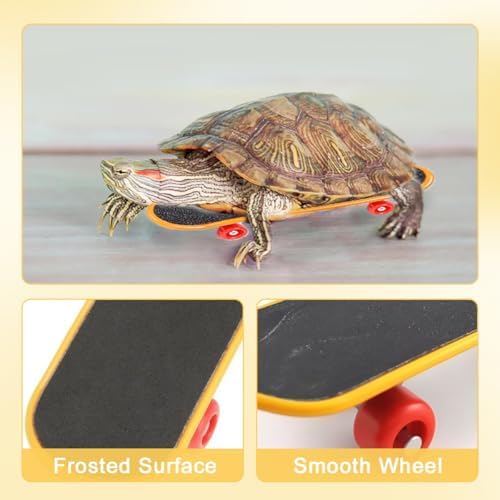 Mini Turtle Skateboard for Small Pets - Fun Tortoise Skateboard Toy for Reptiles, Bearded Dragons, Parrots, and Other Small Animals - Cute and Safe Skateboard for Turtles and Tortoises(Large)