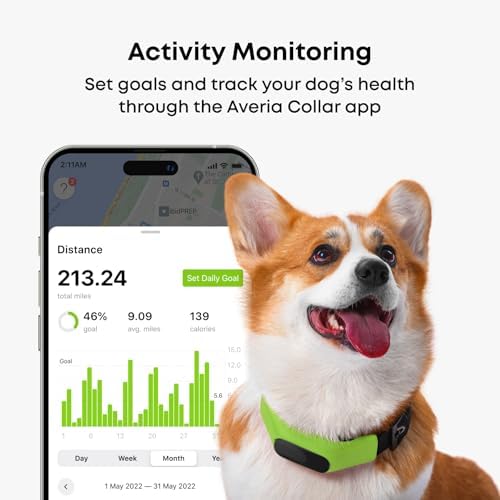 Averia Collar - Reliable GPS and Activity Tracker for Dogs