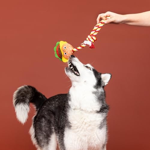Fringe Studio Plush Dog Toy with Rope, You’RE The BUN That I Want, Pet Shop Collection (314527)