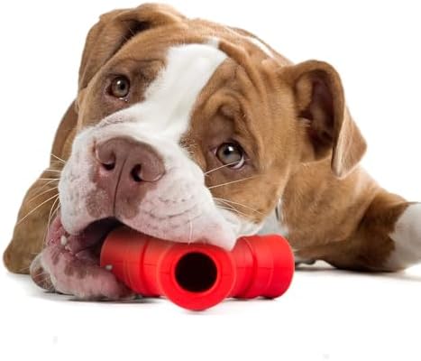 Jeffers Pet Natural Rubber Dog Chew Toy – Red Y, Medium - Vanilla Scented, Durable, Non-Toxic, Dishwasher Safe, Interactive Fetch & Tug Toy - Perfect for Training Medium Chewers