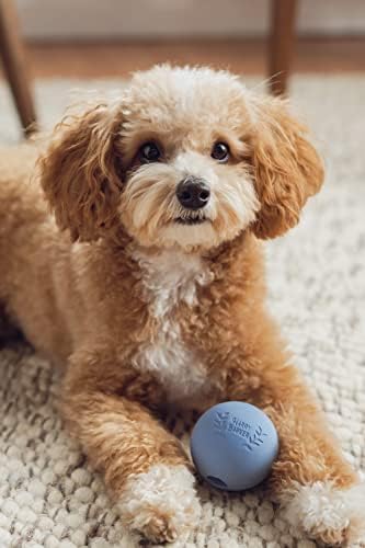 Harry Barker Natural Rubber Dog Fetch Balls, Durable High-Bounce Interactive Toy with Safety Air Vent, Treat-Stuffable Rubber Balls for Dogs, 2.5 Inch, 6-Pack
