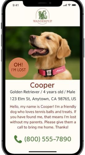 Dog Collar with AirTag Holder, QR Code Tracking, Paw Print Covers, Multi-Color (Pink)