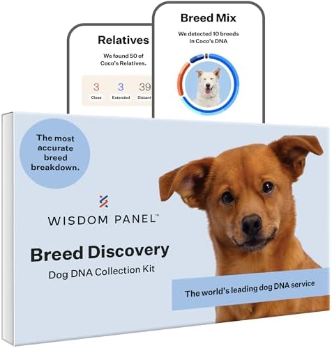 Wisdom Panel Breed Discovery Dog DNA Testing Kit - Most Accurate Dog Breed Identification - Test for 430+ Breeds, MDR1 Health Test, Ancestry, Relatives