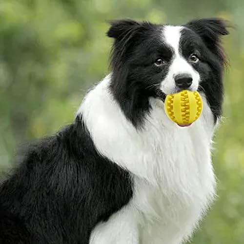 Interactive Dog Treat Ball Toys for Aggressive Chewers Teething Toys to Keeping Them Busy Dogs Balls Food Treats Feeder Chew Ball for Small Medium Large Dogs (Calibre 2.6 in for Large Dog)