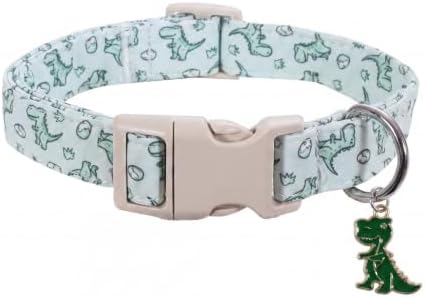 Dinosaur Dog Collar, Large Dog Collar for Boy Dog, L