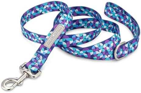 Lucky Love Dog Martingale Collar & Leash Set No Slip Cute – Jasper, Small