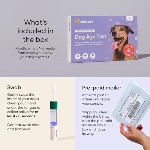 Embark Dog Age Test Kit – Estimates Dog's Age & Birthday from DNA | DNA age test for dogs using methylation science. Ideal for rescue & unknown-history dogs. Includes life-stage care tips.