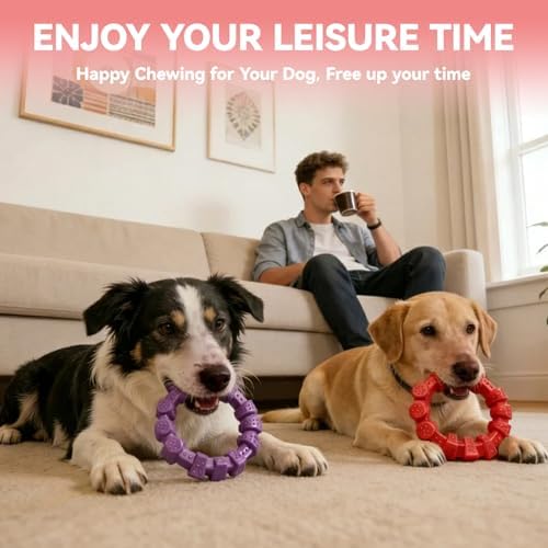 BoYoYo 2 Pack Indestructible Dog Chew Toys for Aggressive Chewers