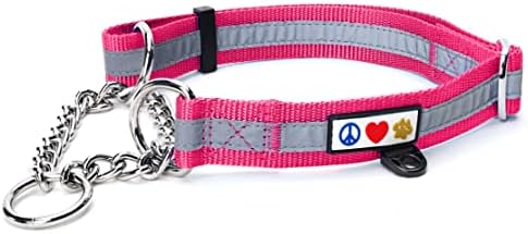 Pawtitas Pink Chain Martingale Dog Collar, Large