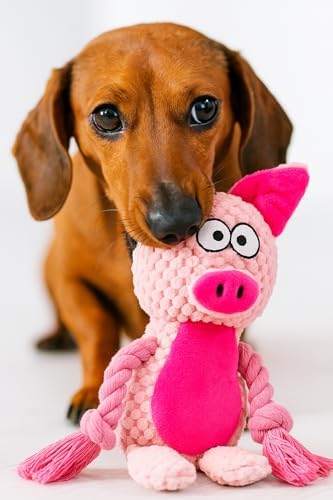 Plush Pig Dog Toy, Squeaky Interactive Tug Toy for Small Medium Dogs