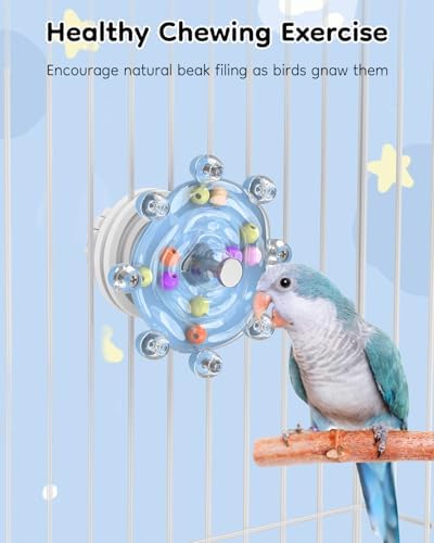 Pawfly Bird Toys for Parakeets, Colorful Spinning Wheel Chew Toy, Interactive Spinner Rattle Parrot Toys, Cockatiel Toy, Parakeet Toys, Bird Cage Accessories for Entertainment Chewing Exercise, Blue
