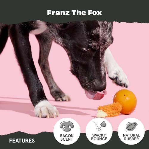 BarkBox Franz The Fox Dog Toy