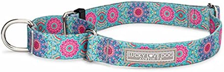 Lucky Love Dog Martingale Collar for Medium Dogs No Slip – Clara, Medium