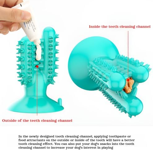lilaBelle]【Cactus Dog Toy New Dental Stick for Dogs - Teeth Cleaning & Stress Relief Chew with Sound, Treat Dispenser, TPR Safe Material, Sizes Dogs, Home/Park/Garden (Saudi Pets)