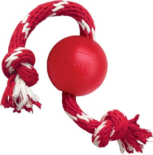 Kong Ball with Rope, Natural Rubber Fetch and Tug Toy, Red, for Small Dogs
