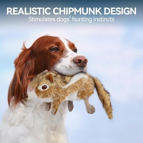 ALL FOR PAWS Chipmunk Squeaky Doy Toy, Squirrel Dog Toy for Medium Large Breed, Puppy Fetch Toy with Squeaker, Plush Chew Dog Toy, Chipmunk-L