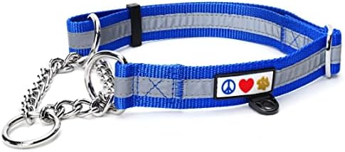 Pawtitas Blue Chain Martingale Dog Collar, Large