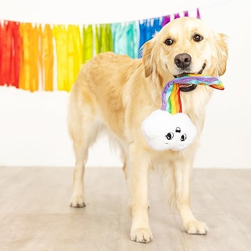 Fringe Studio Plush Dog Toy, Head in The Clouds, Pet Shop Collection (314150)