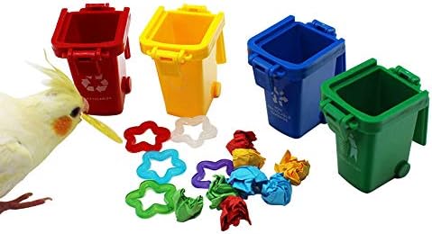 QBLEEV Conure Learning Toys, Color Sorting Bin Teaching Tool Box Bird Toys