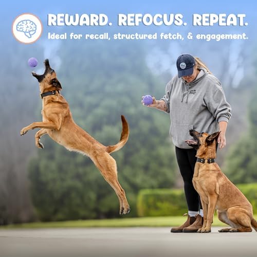 Foam Fetch Ball for Dogs – Durable EVA Foam Dog Ball, Interactive Chew Toy for Dogs, Lightweight Floating Ball for Water, Pool & Outdoor Fetch Games (Purple, Large)