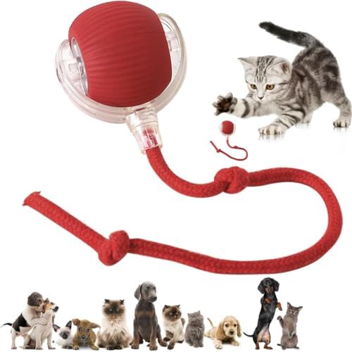 Interactive Electric Automatic Rolling Moving Rechargeable Self Play Stimulation Toy,Smart Pet Chase Ball with Speedy Tail Rope for Bored Indoor Cats enrichment,stimulating Dogs toy Small dogs (Red)