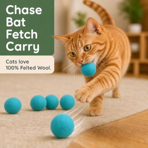 Wool Cat Toys - Felt Cat Toy Balls for Small Pet Fetch and Play - Eco Friendly Quiet Wool Ball Cat Toy for Cats and Kittens - 6 PCS Choose Your Colors (Aqua)