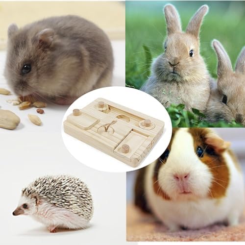 alfyng Guinea Pig Foraging Toys-6 in 1 Hamsters Wooden Interactive Toys