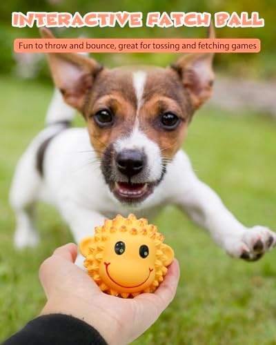 SCHITEC Squeaky Dog Toys, Latex Spiky Animal Balls for Small Medium Dogs
