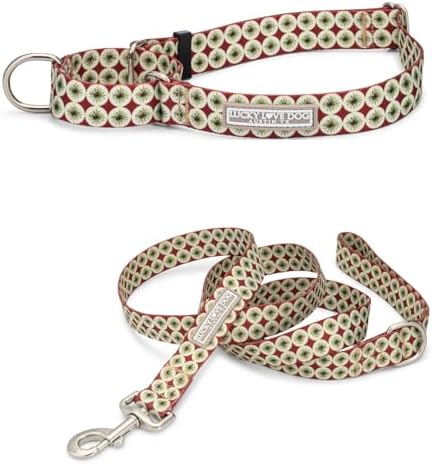 Lucky Love Dog Martingale Collar & Leash Set No Slip Cute – Pongo, Small
