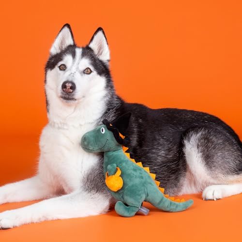Fringe Studio Plush Dog Toy, Candy REX PetShop Collection (289345)