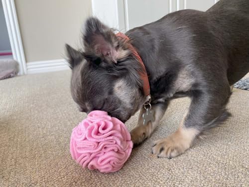 Glory To Dog Puppy/Small Breed Snuffle Dog Puzzle Ball Toy Pink Extra Small