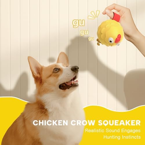 Interactive Dog Toy Ball - Squeaky Treat Dispenser, Pull Handle & Wobble Puzzle, Durable Natural Rubber Chicken Chew Toy for Boredom Relief, IQ Training for Small Medium Large Dogs