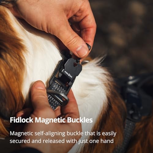 Ruffwear, Ridgeline Dog Collar, Magnetic Buckle, Obsidian Black, 20"-26"