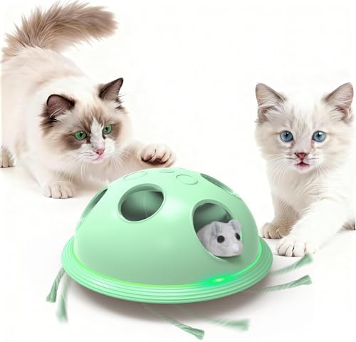 Pawingcat Cat Toys for Bored Indoor Cats Interactive String and Mouse
