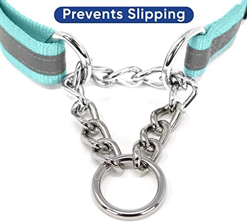 Pawtitas Martingale Dog Collar with Chain - Reflective Nylon No Pull Collar for Large Dogs - Teal