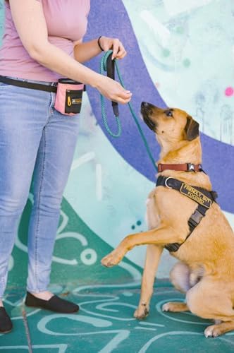 OllyDog Flagstaff Collar, Adjustable Soft Puppy Collars with Quick Release Buckle, Ideal Dog Collar for Everyday Use and Adventures (Small, Clay Woodgrain)
